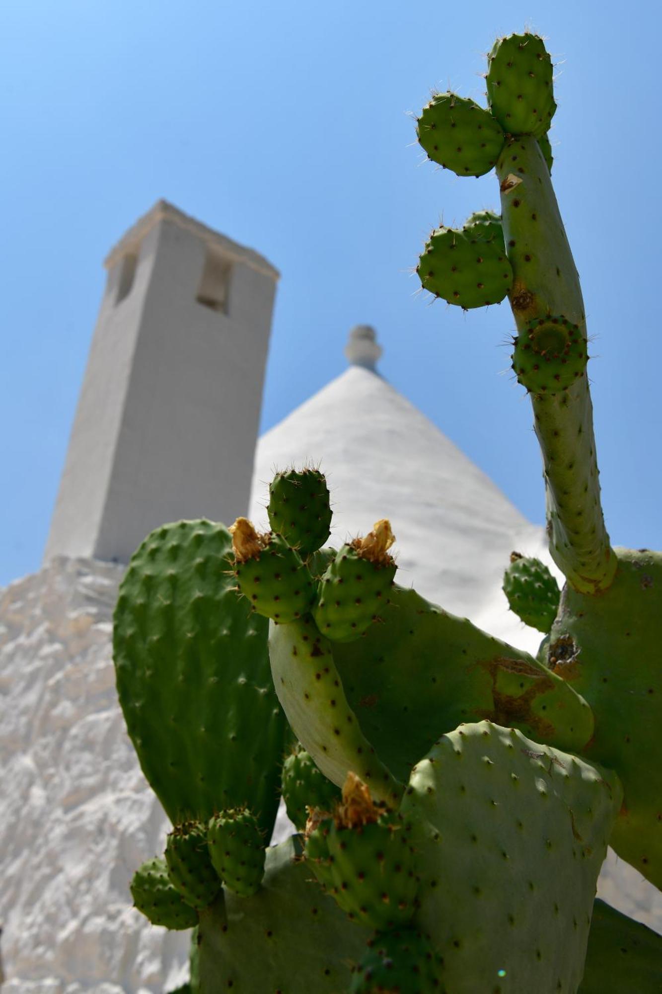 Il Trullo Bianco - Country House & Spa Castellana Grotte Luaran gambar